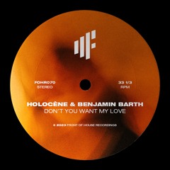 Holocène & Benjamin Barth : Don't You Want My Love
