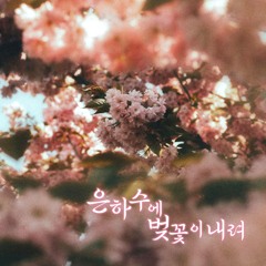 [Request] 은하수에 벚꽃이 내려