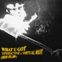 Viperactive & Virtual Riot - What U Got (SOI flip)