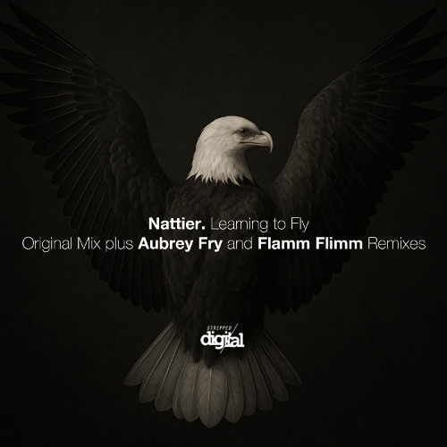 Nattier - Learning to Fly (Aubrey Fry Remix) | Stripped Digital