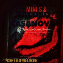 PIcNiC & HIDEANDseek mix by 💥🦩SyncopeSoundSystem🪬🦩