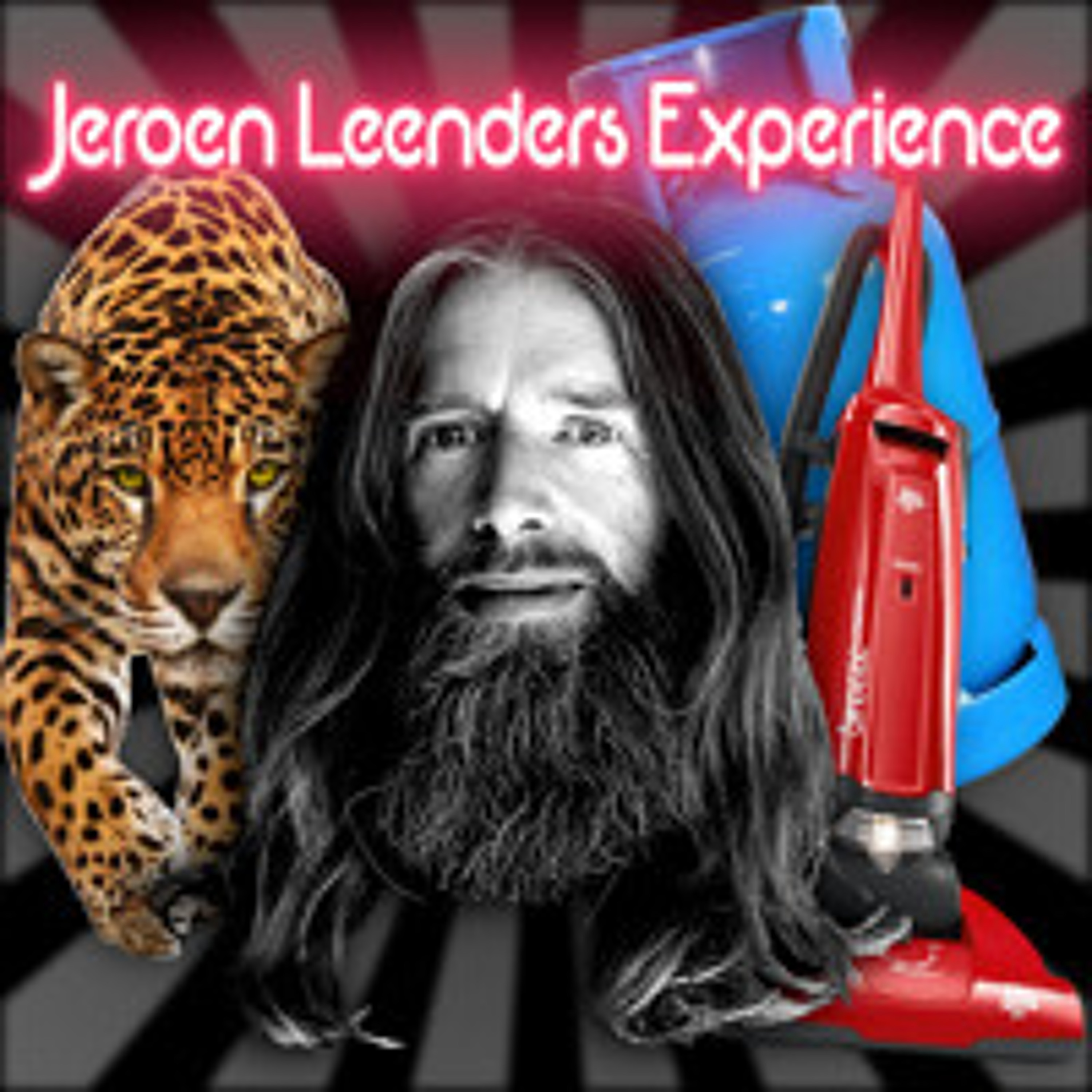 Jeroen Leenders Experience
