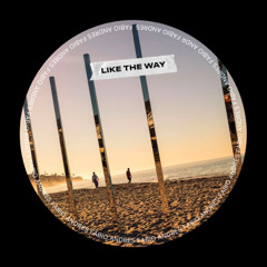 Like The Way