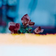 Tie My Shoes - Beabadoobee (Quick Cover)