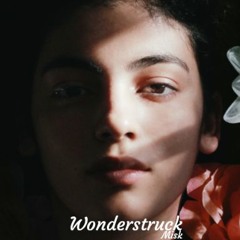 Misk - Wonderstruck