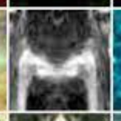 DjHead4