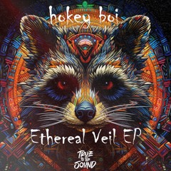 hokey boi - Ethereal Veil