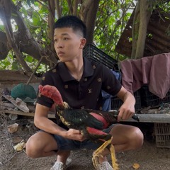 Nghệ Sĩ Nhân Dân Vol 1 -- TẶNG AE LONG VÂN
