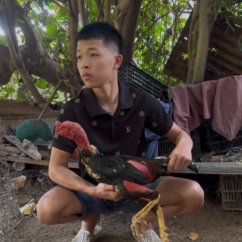 Nghệ Sĩ Nhân Dân Vol 1 -- TẶNG AE LONG VÂN