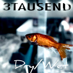 3TAUSEND - Dry/Wet