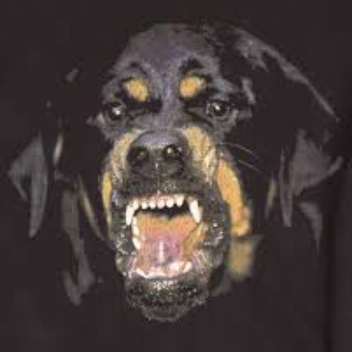 caikozart - Big dawg w/ PUDA