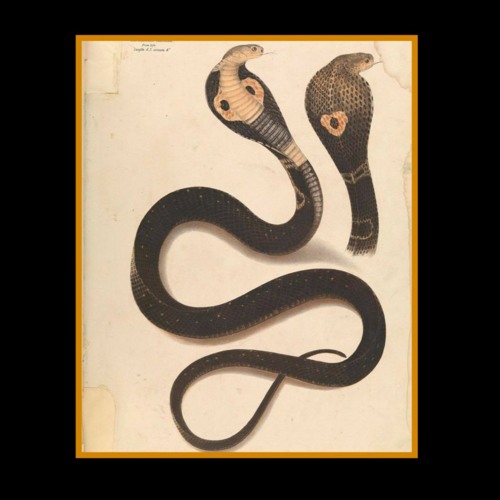 PREMIERE: Hostox - Daydreamx