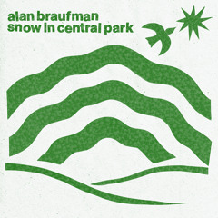 Snow in Central Park (edit) [feat. Patricia Brennan, Chad Taylor, Ken Filiano & Michael Wimberly]