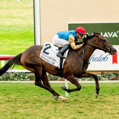 My Race Call Of The 2025 Yellow Ribbon Handicap at Del Mar Racetrack