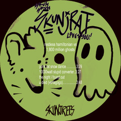 10000watt stupid converter