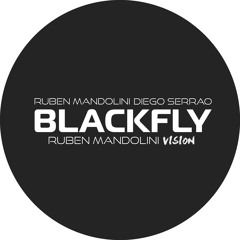Blackfly (Ruben Mandolini Vision Mix) Spotify Edit