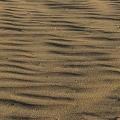 SaND