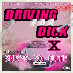 Driving for Dick X She's So Cute (IFFYHYPE's Quick & Dirty Mash Up)