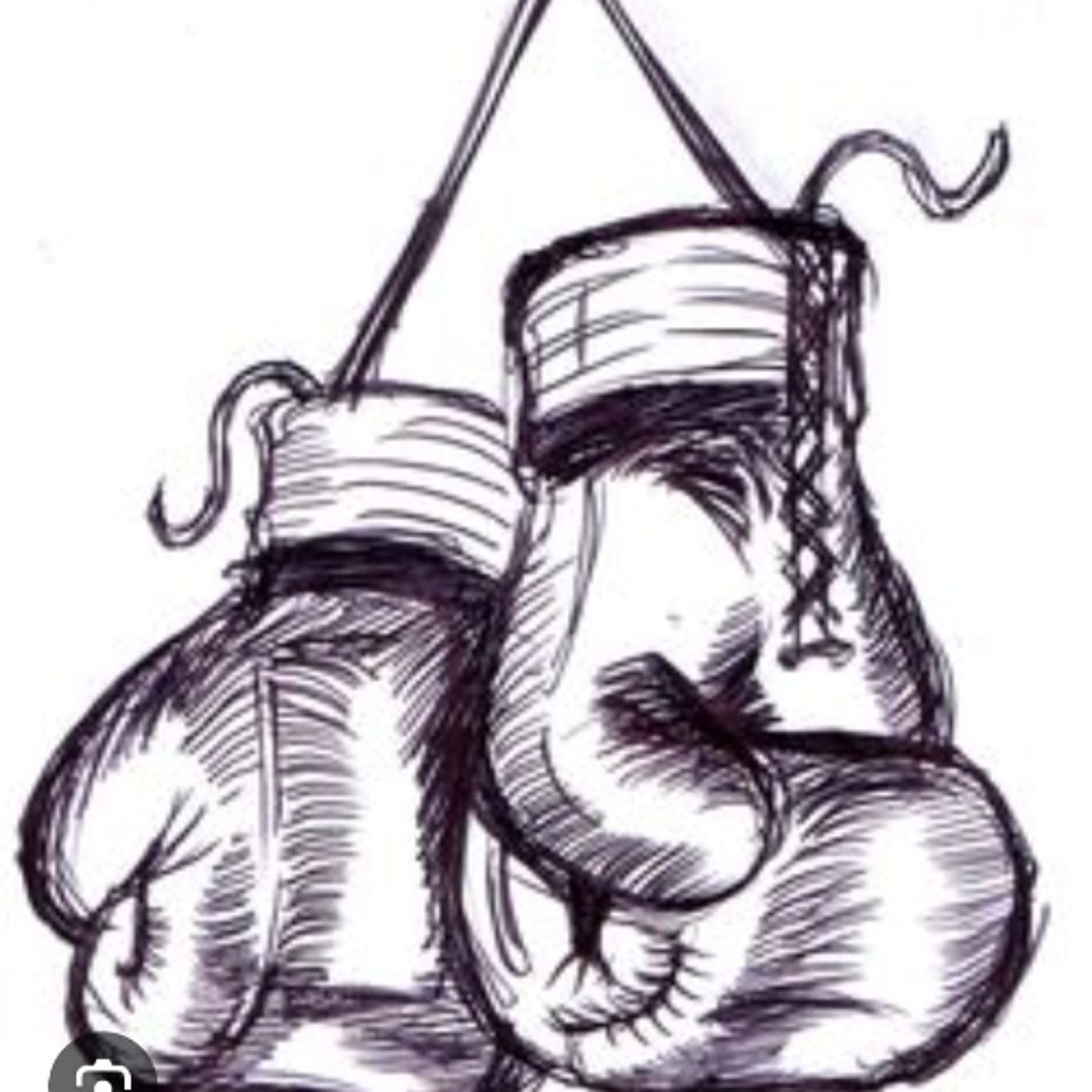 SPIRIT SONGS FOR YOU AMIS - The boxer (mercredi 4 février 2026) episode artwork