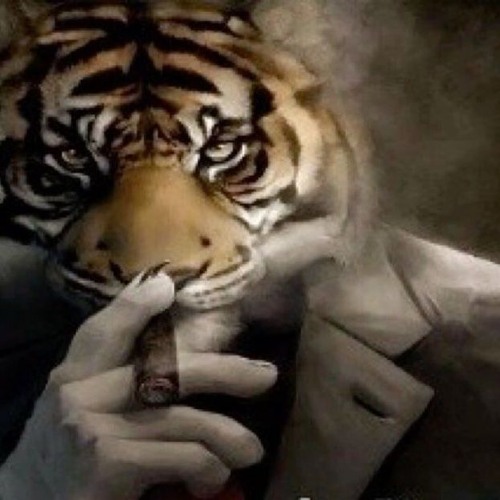 ##morgue ##stubborn exclusive freestyle
