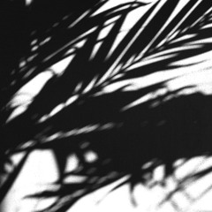 Rites Of The Sun
