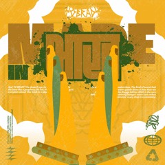 DM- Made In India ( Ragga Edition 2025 )