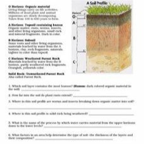 Stream Soil Profile Diagram Worksheet Answers From Simitpuncsa Listen Online For Free On 