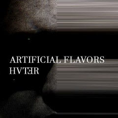 Hvt3r - Artificial Flavors