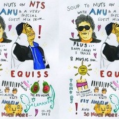 Soup To Nuts w/ Anu & EQUISS - 020322