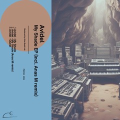 Avidel - My Shade [PNH142] [PREMIERE]