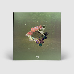 Arutani - Ordinary Thoughts (LUL026)