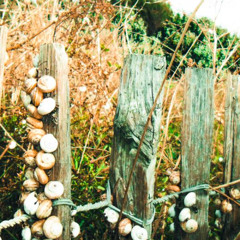 Les ombres _ test IA lyrics mwa