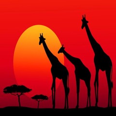 Live at Bar 'Wink'  (27.07.2024)