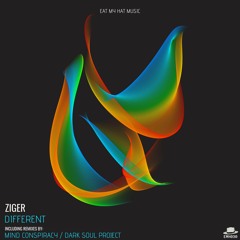 Ziger - Different(Original) [Eat My Hat Music]
