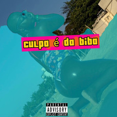 Hs feat Glizzy miller-Culpa é da Biba