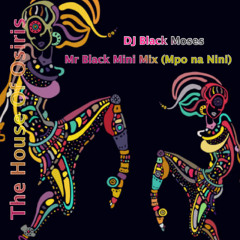 Mr Black Mini Mix (Mpo na Nini)