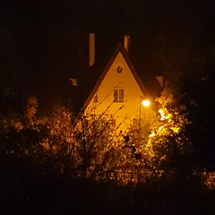 digital fog