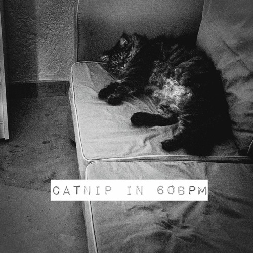 Catnip in 60bpm [disquiet0609]