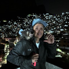 BOLADIN 211 - MEDLEY DOS SUCESSOS (( DJ TAK VADIÃO )) 🚂 só as melhores