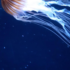 2025 05 OA Dat Schmaeckt x Sugar Crave