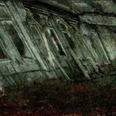 Abstained From Violence