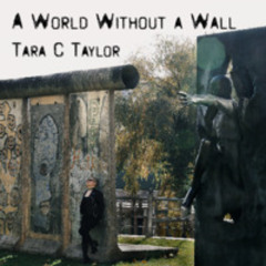 A World Without a Wall