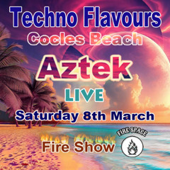 Aztek Live @ Techno Flavours 08-03