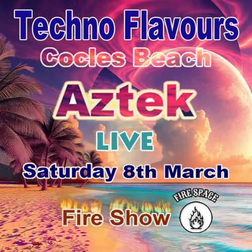 Aztek Live @ Techno Flavours 08-03