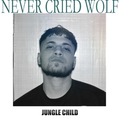 NEVER CRIED WOLF EP.   (TAGGED).