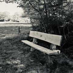 A Bench in the Fields