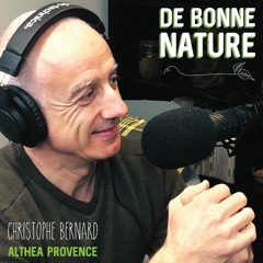 Graine de chia : interview de Frédéric Poujaud (Chia de France)