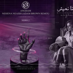 Angham - Nesiena Neaish | أنغام - نسينا نعيش (Adam Brown Remix)