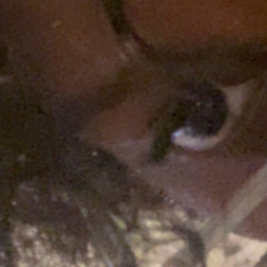 Don't have a million friends but you weigh as much as a million would