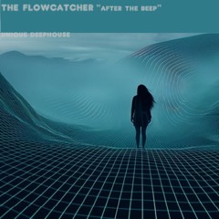 the flowcatcher - after the beep